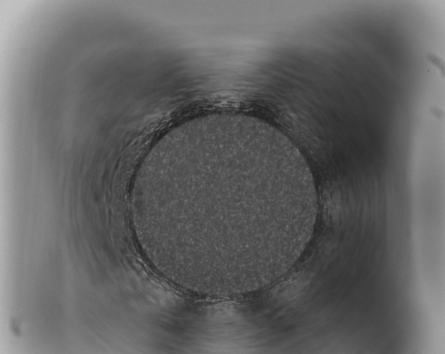 X0000100210769200806201444