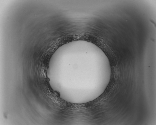 X0000100210770200806201444