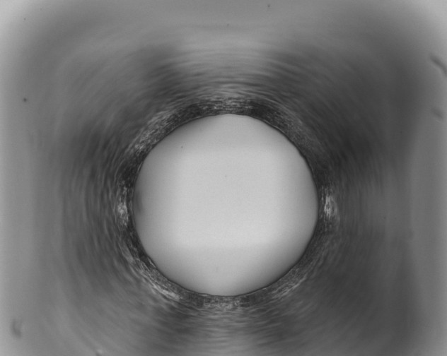 X0000100210771200806201444