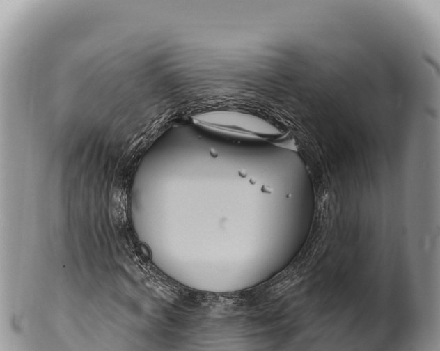 X0000100210772200806201444