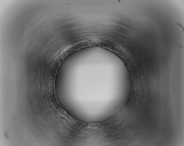 X0000100210773200806201444