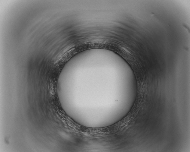 X0000100210774200806201444