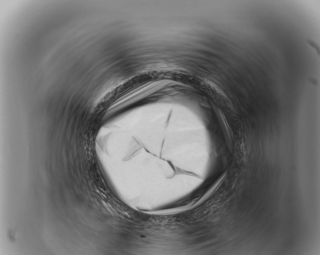 X0000100210775200806201444