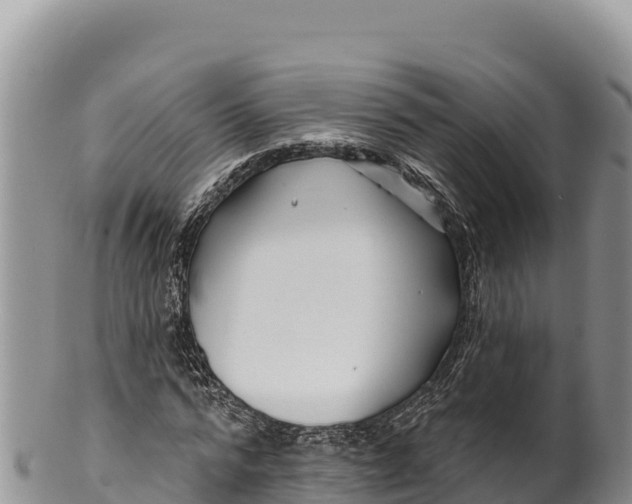 X0000100210776200806201444