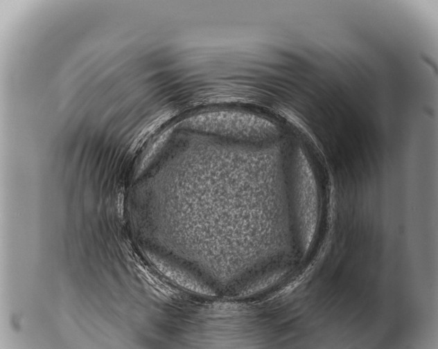 X0000100210777200806201444