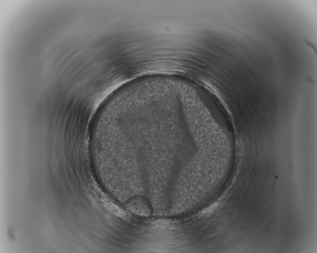 X0000100210779200806201444