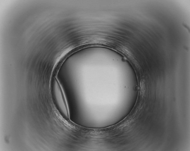 X0000100210780200806201444