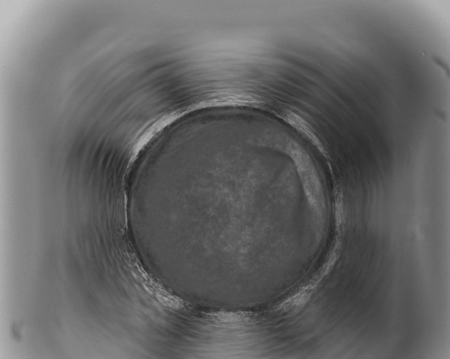 X0000100210781200806201444