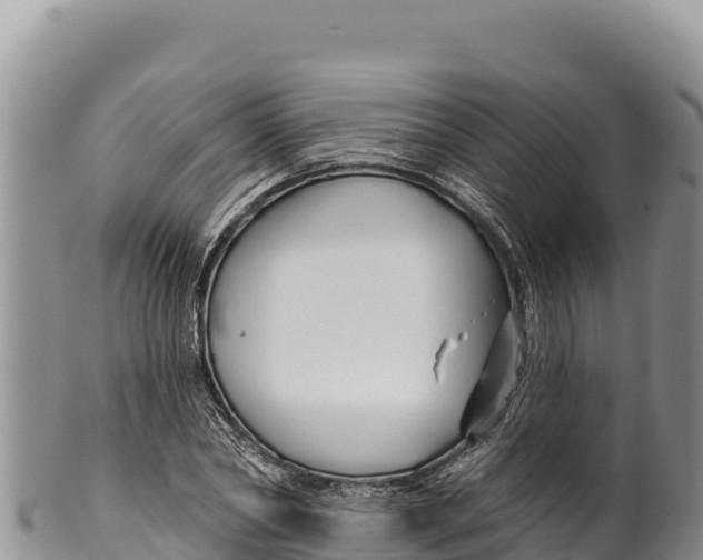 X0000100210782200806201444