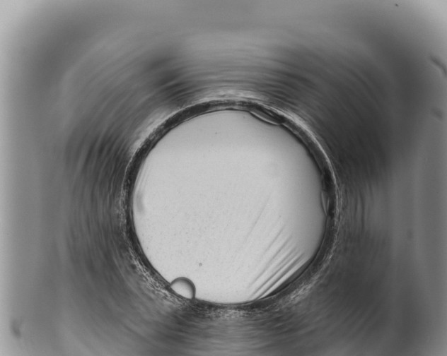 X0000100210783200806201444