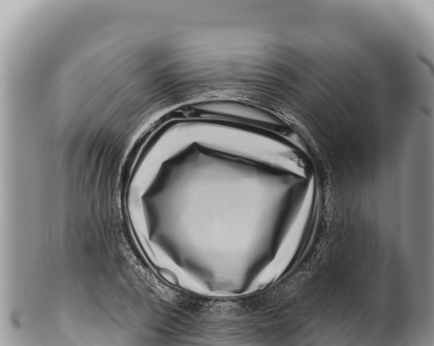 X0000100210784200806201444