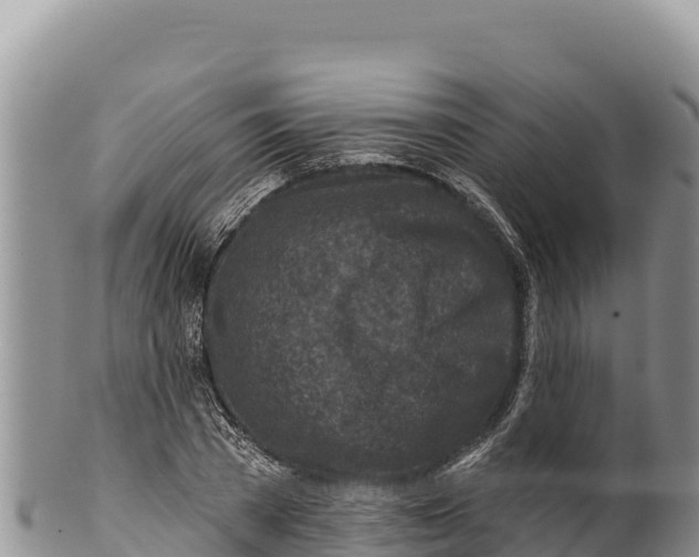 X0000100210785200806201444