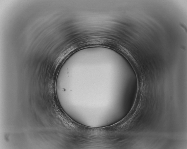 X0000100210786200806201444