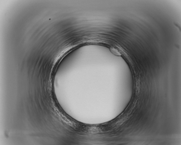 X0000100210787200806201444