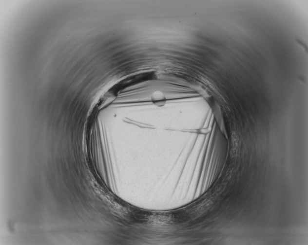 X0000100210788200806201444