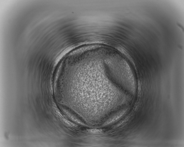 X0000100210789200806201444