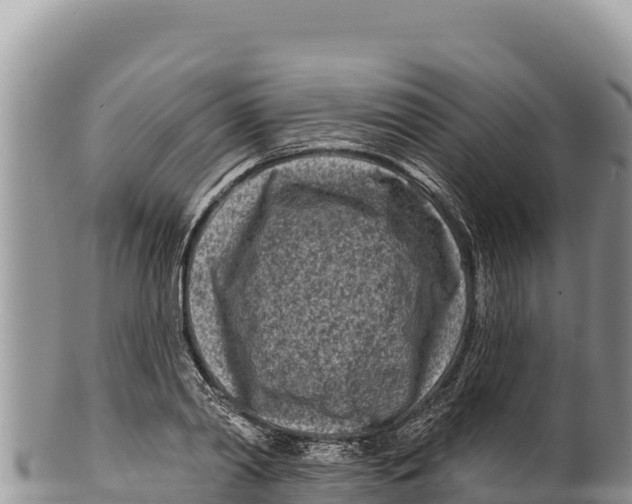 X0000100210790200806201444