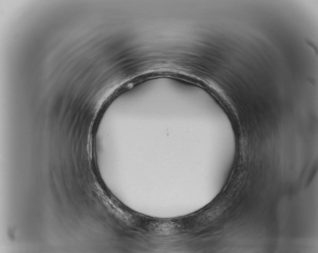 X0000100210791200806201444