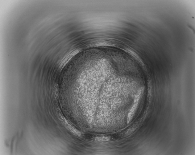 X0000100210793200806201444