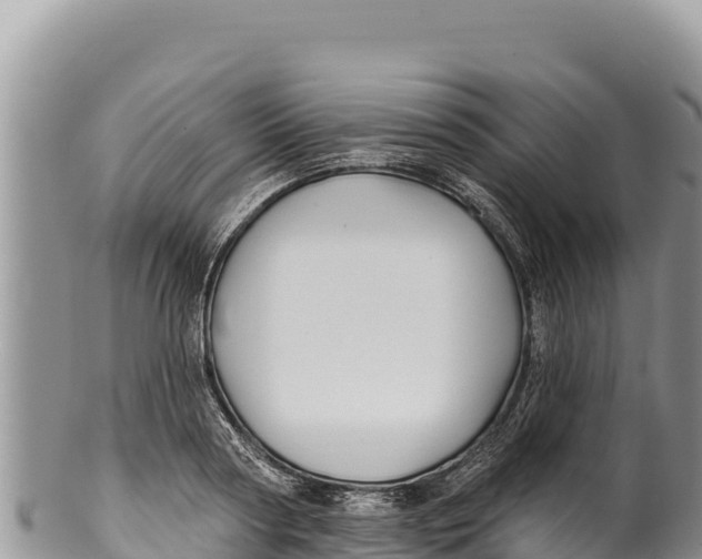 X0000100210794200806201444