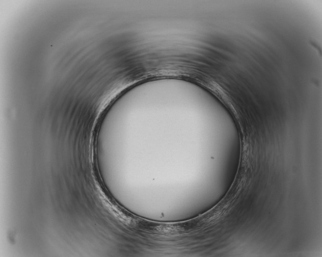 X0000100210795200806201444