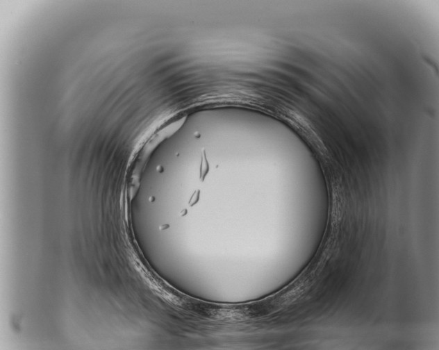 X0000100210796200806201444