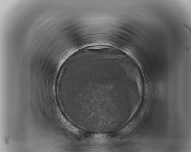 X0000100210797200806201444