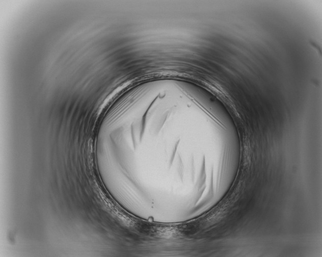 X0000100210798200806201444