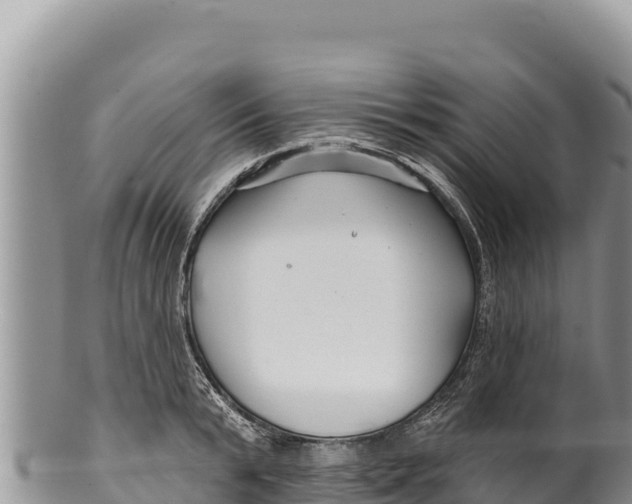 X0000100210799200806201444