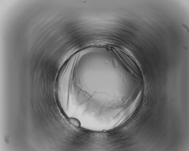 X0000100210802200806201444