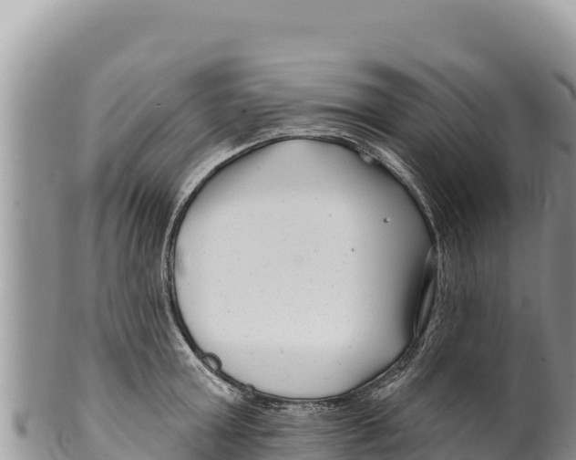 X0000100210803200806201444