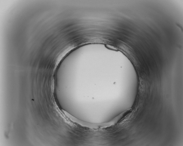 X0000100210804200806201443