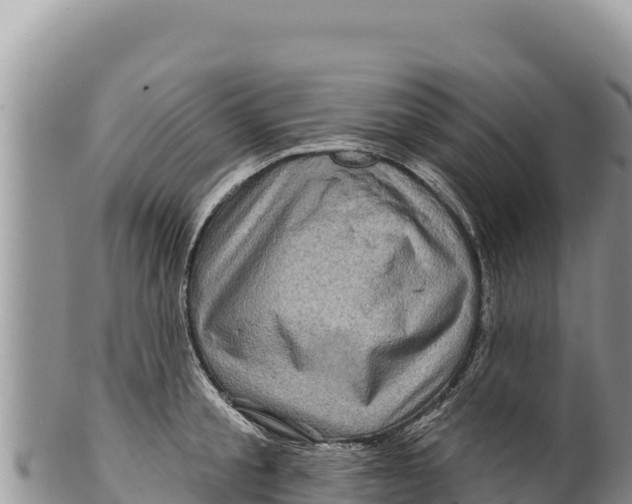 X0000100210805200806201443