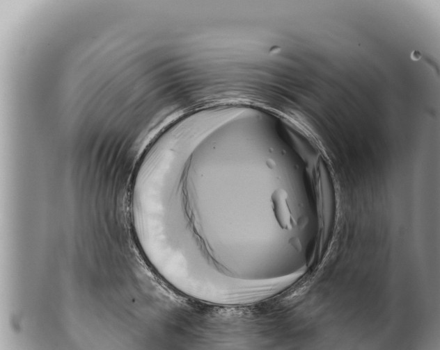 X0000100210806200806201443