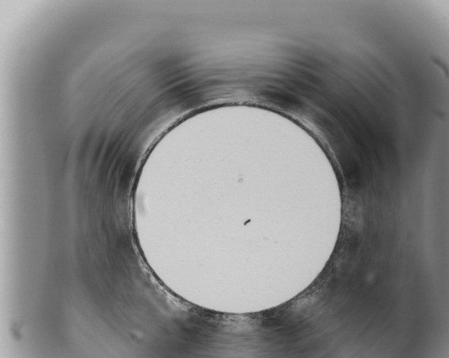 X0000100210807200806201443