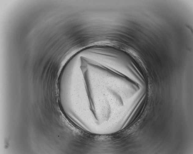 X0000100210808200806201443