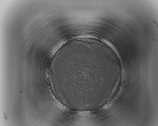 X0000100210809200806201443