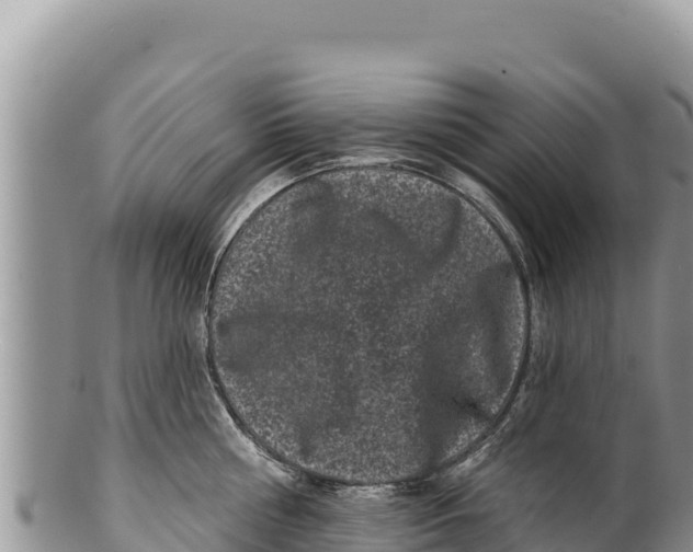 X0000100210810200806201443