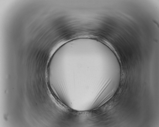 X0000100210811200806201443