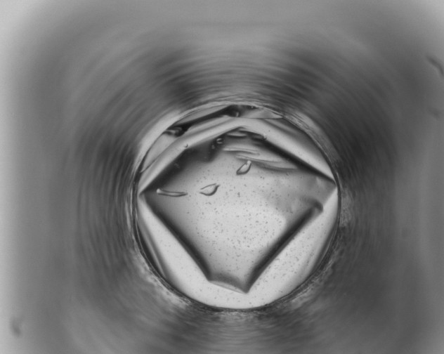 X0000100210812200806201443