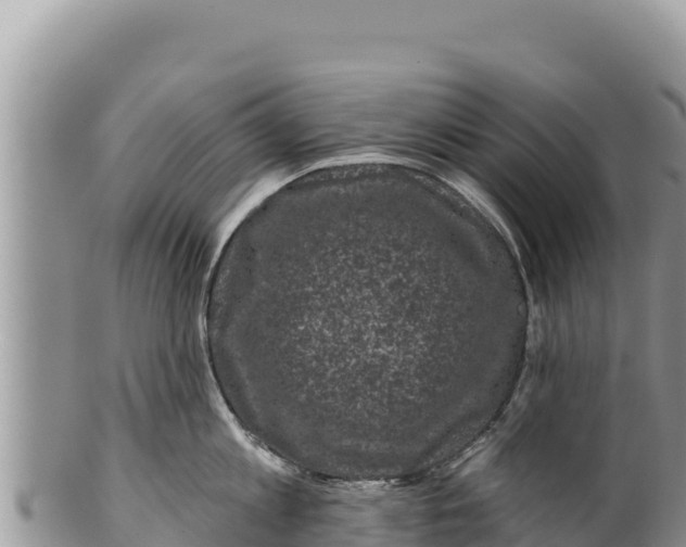 X0000100210813200806201443