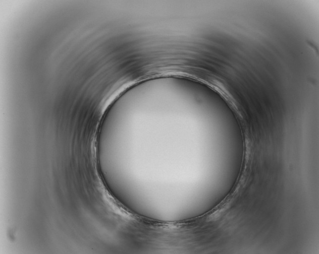 X0000100210814200806201443