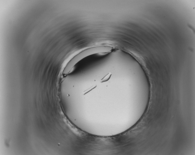 X0000100210816200806201443