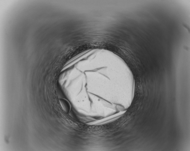 X0000100210817200806201443