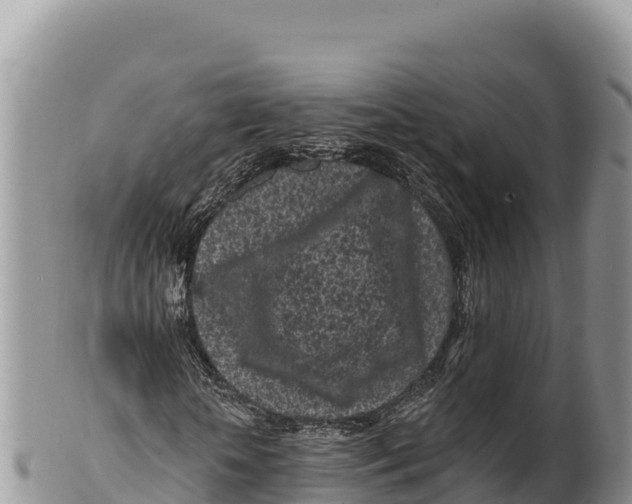 X0000100210818200806201443