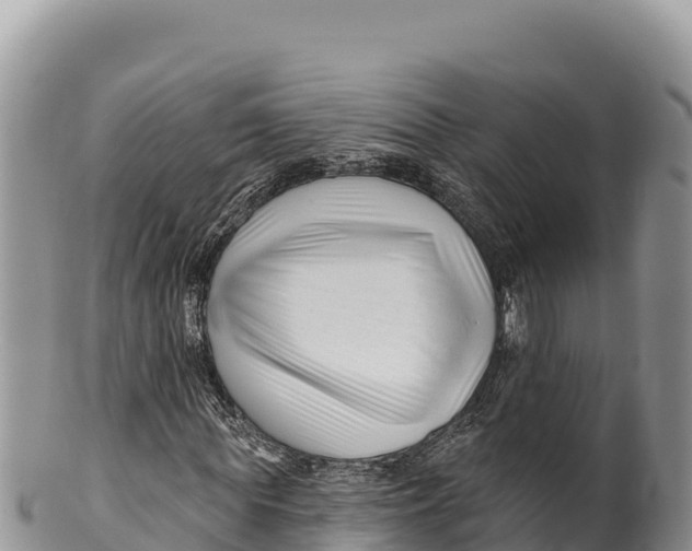 X0000100210819200806201443