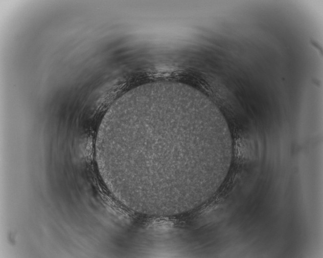 X0000100210820200806201443