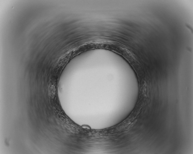 X0000100210821200806201443