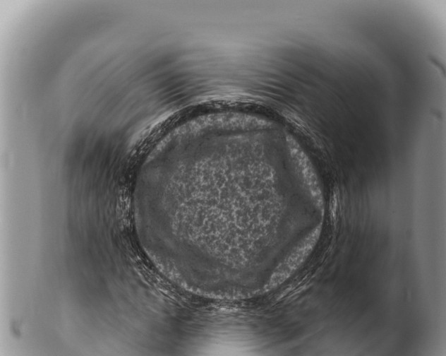 X0000100210822200806201443