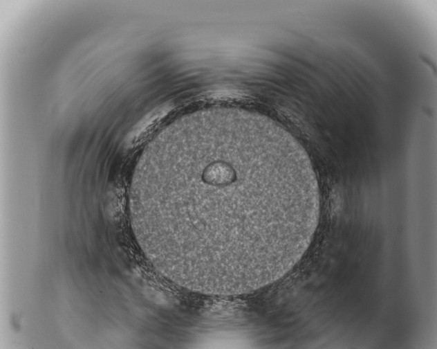 X0000100210824200806201443